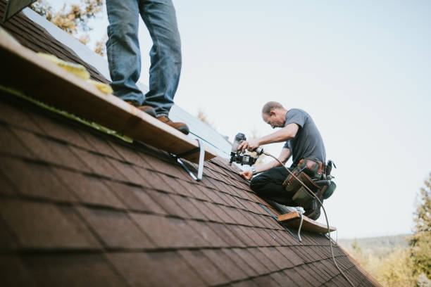 Professional Roofing Contractor in Elm Creek, NE